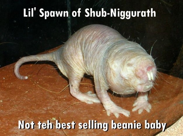 LIL' SPAWN OF SHUB-NIGGURATH - NOT TEH BEST SELLING BEANIE BABY